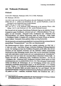 Wallensulz Unterschneidheim Seite 199