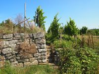 Hessigheim Weinbergmauer Norden (c) pl 2024